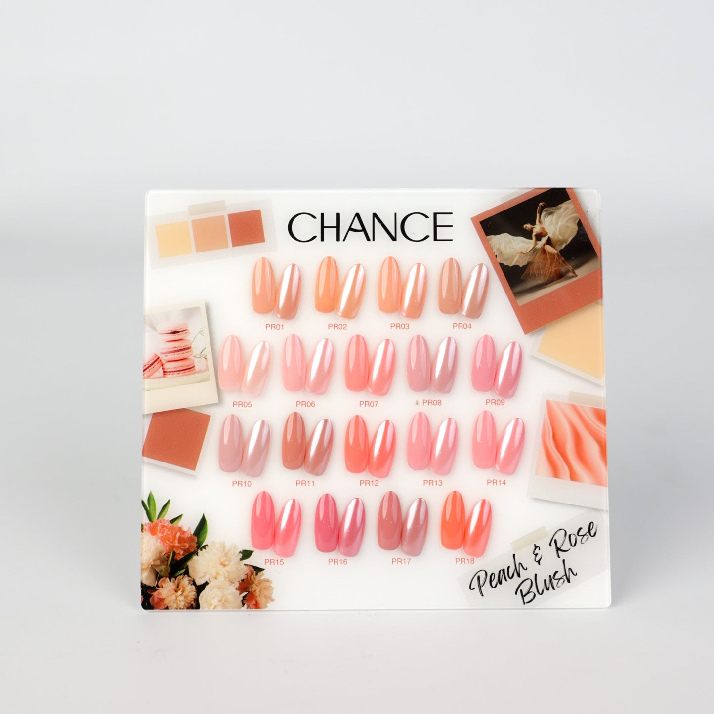 Chance Counter Display Color Chart - Peach & Rose Blush Collection 18 colors