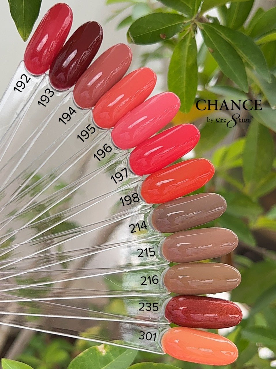 Chance Matching Duo 0.5oz - 36 Colors - Autumn Spice Collection