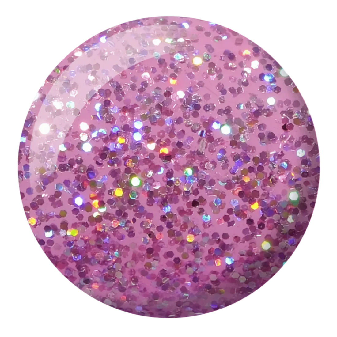 DND Diva Trio - 008 Queen Conch