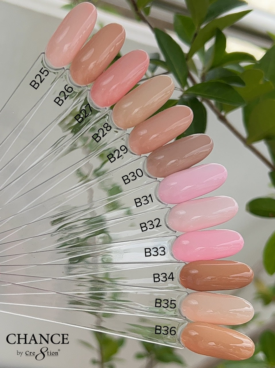 Chance Matching Duo 0.5oz Full Set 36 Colors - Bare Collection