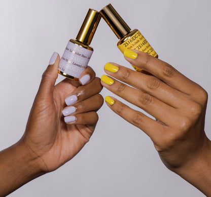 Free Spirit Collection - 36 Set