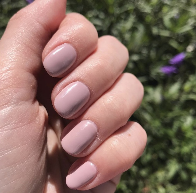 DND Trio - 606 London Coach