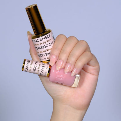 DC Sheer Collection - 36 Set