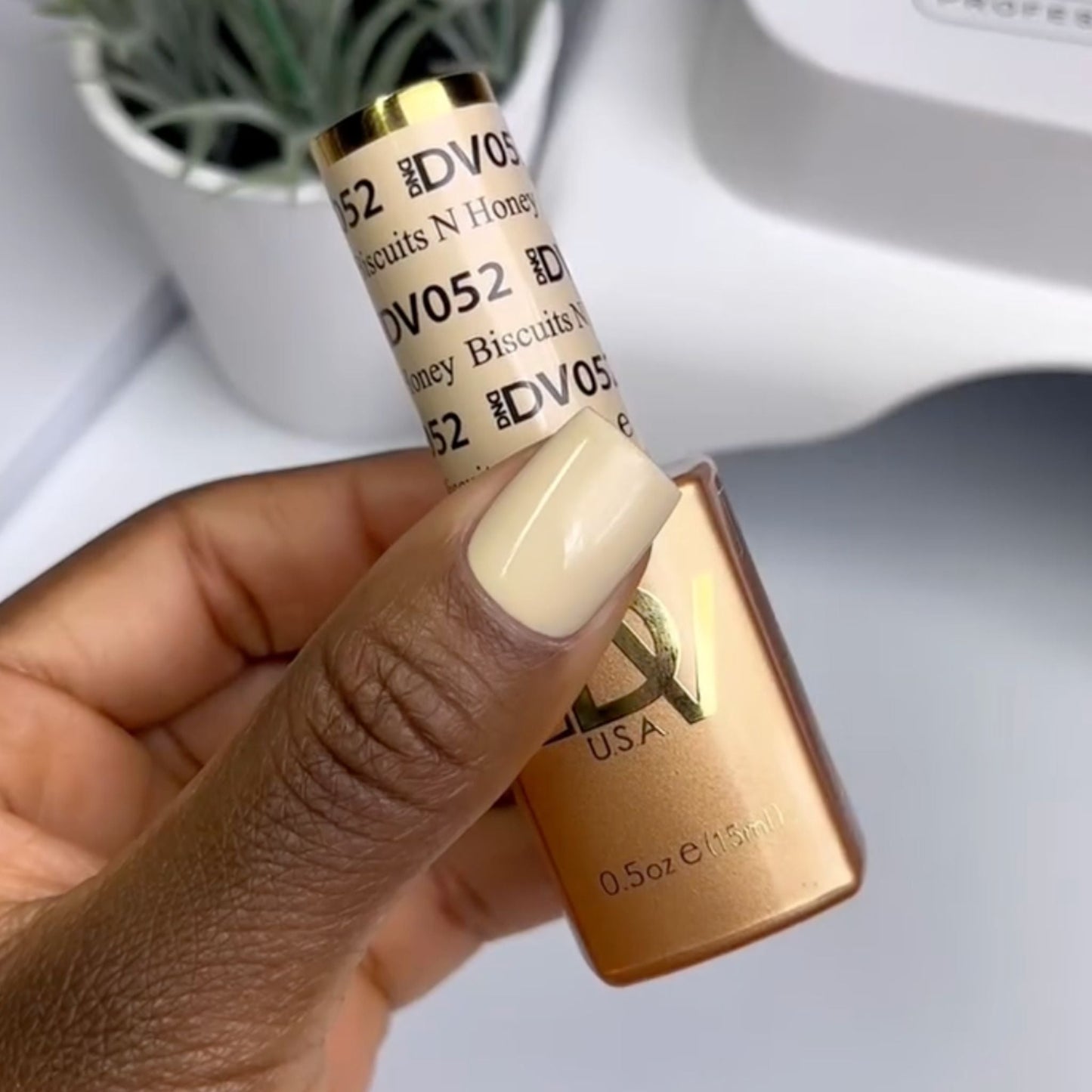 Biscuits N' Honey DIVA #052