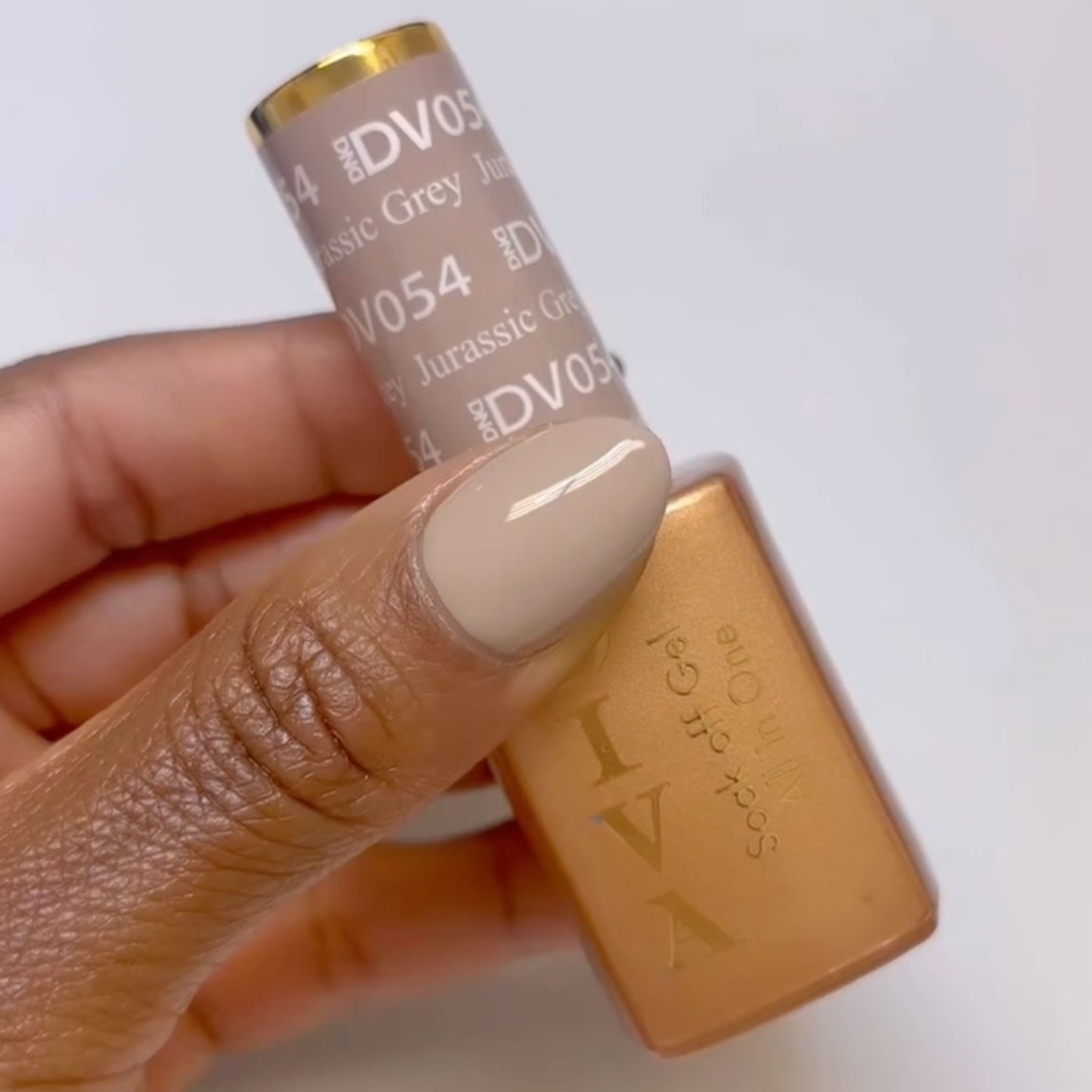 Jurassic Grey DIVA #054