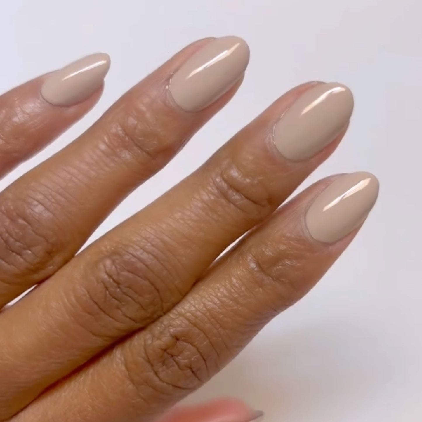 Jurassic Grey DIVA #054