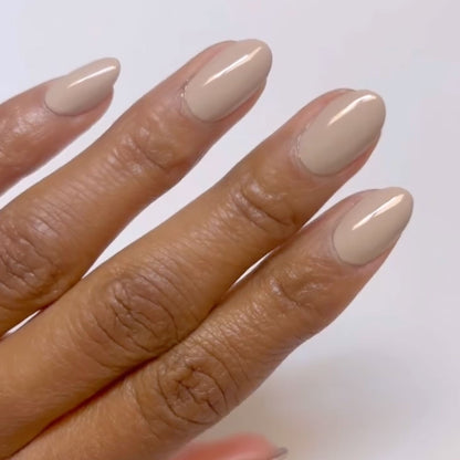 Jurassic Grey DIVA #054