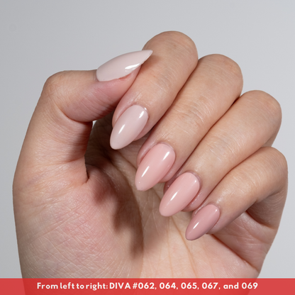 Kangaroo's Paw DIVA #067