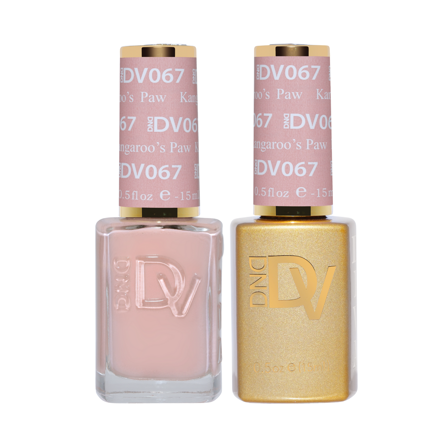 Kangaroo's Paw DIVA #067