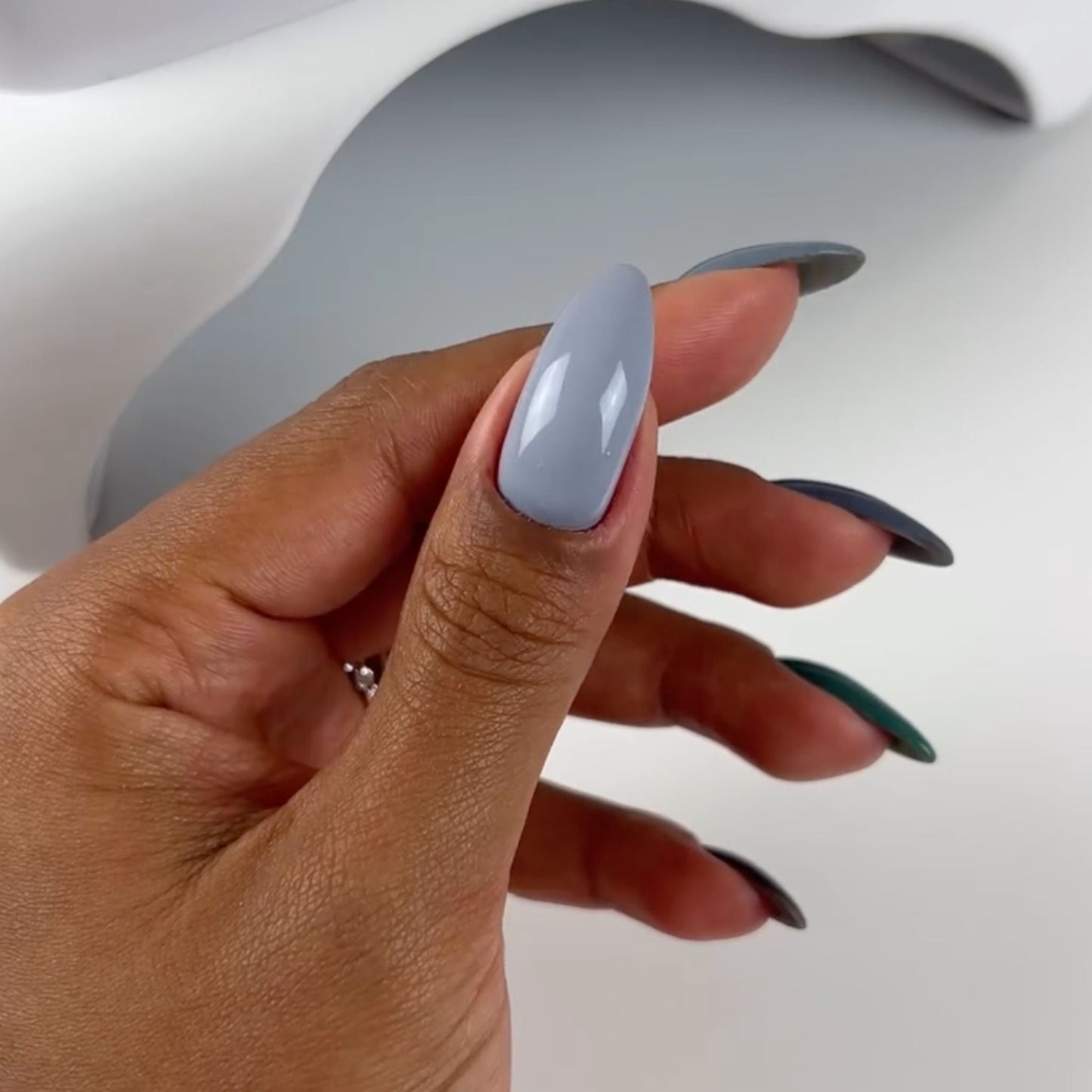 Misty Morning DIVA #255