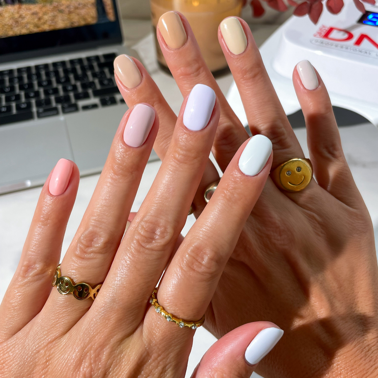 Shortbread DIVA #063