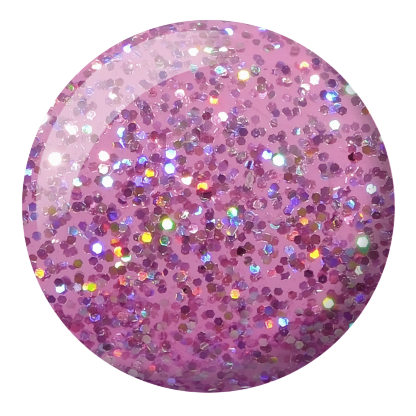 Queen Conch DIVA #008