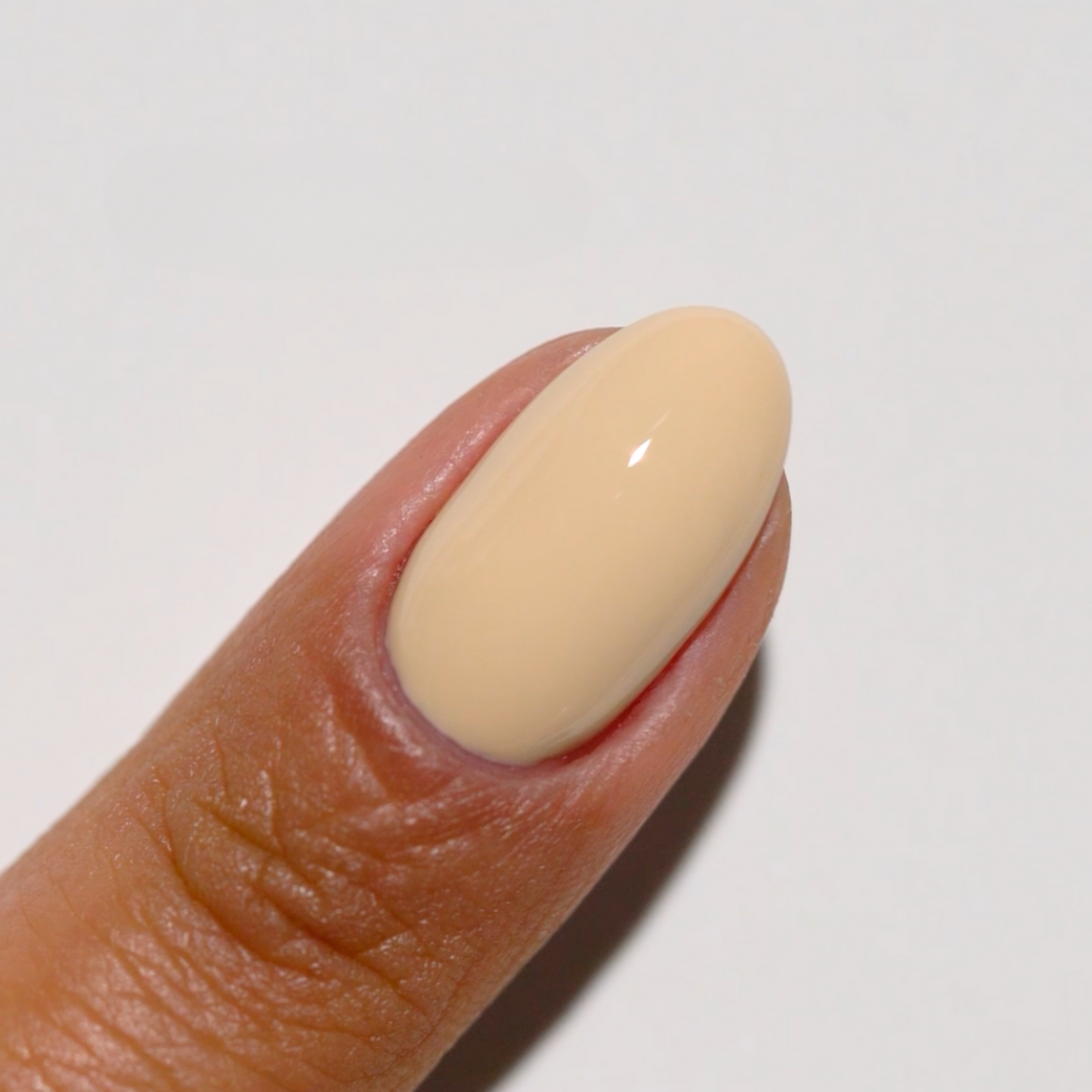 DND Diva Trio - 052 Biscuits N Honey