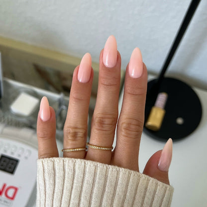 Painter's Antidote DIVA #154