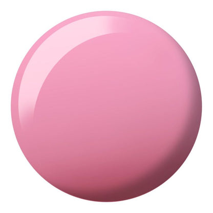 DND Diva Trio - 172 Where's My Beret?