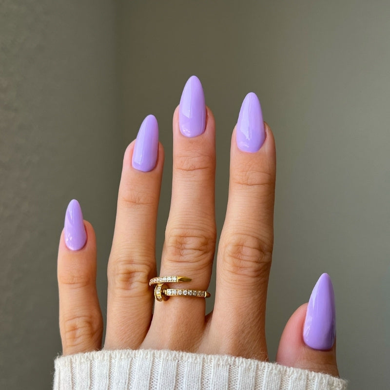 DIVA First Class Collection - 36 Set