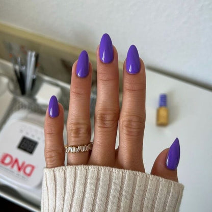 DND Diva Trio - 225 Scorpio's Discovery