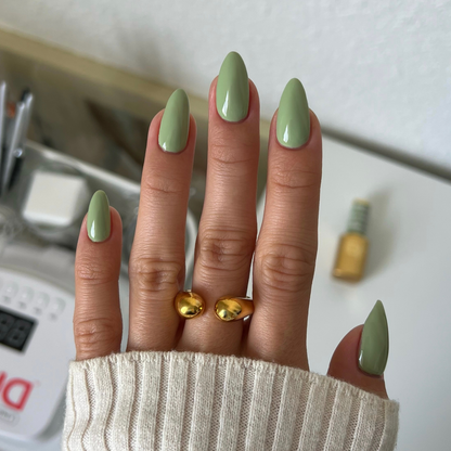 Foggy Fern DIVA #277