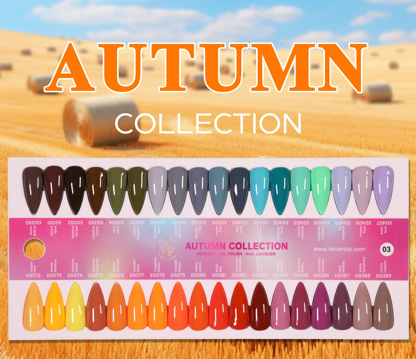 4EVER SEASON DUO Autumn Collection 36 Color ( #372 - #407 )