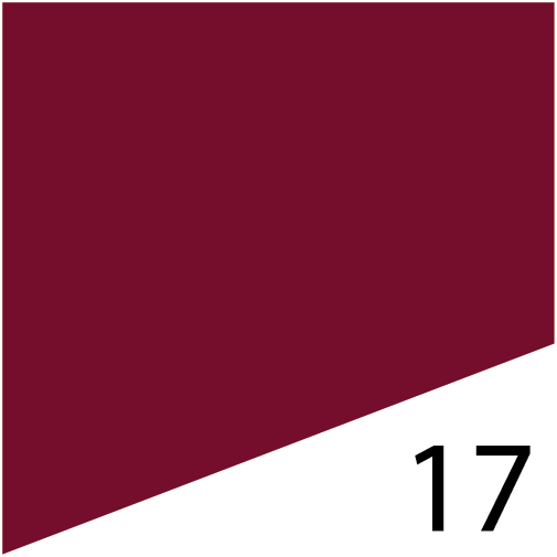 L'Fem Gel Polish .5oz - #17