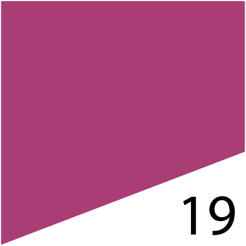 L'Fem Gel Polish .5oz - #19