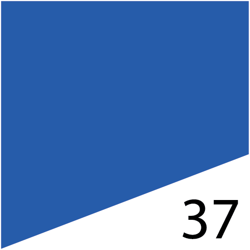 L'Fem Gel Polish .5oz - #37