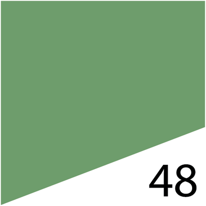 L'Fem Gel Polish .5oz - #48