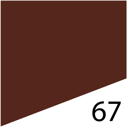 L'Fem Gel Polish .5oz - #67