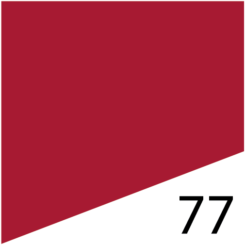 L'Fem Gel Polish .5oz - #77