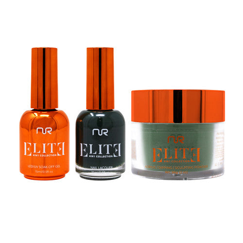 NR ELITE 4IN1:GEL+LACQUER+DIP|ACRYLIC - #EMS115 PINE PERK