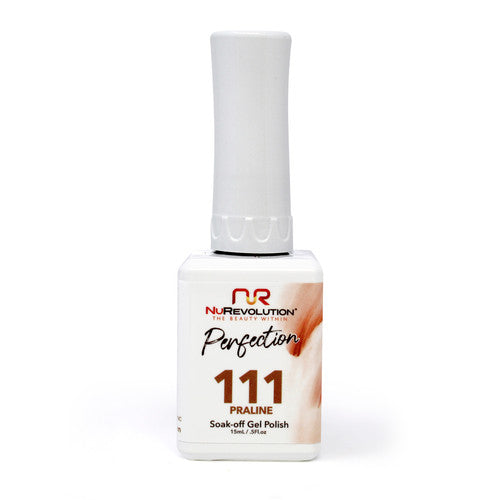 NR PERFECTION GEL #PFG111 PRALINE