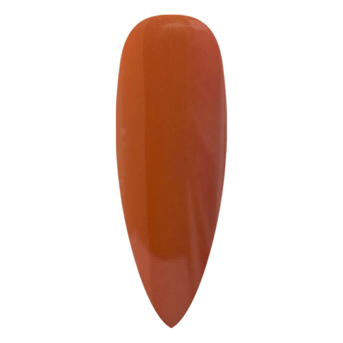 NR PERFECTION GEL #PFG073 COPPER PENNY