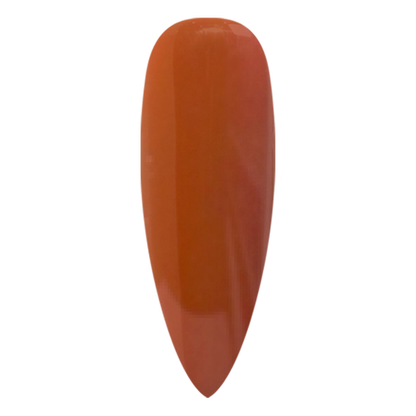 NR PERFECTION GEL #PFG073 COPPER PENNY