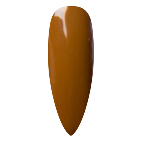 NR PERFECTION GEL #PFG111 PRALINE