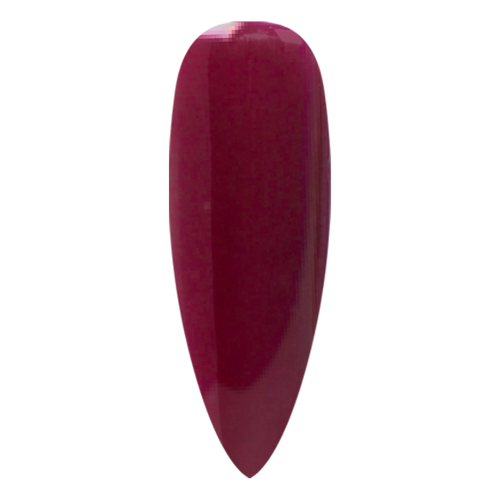 NR PERFECTION SET: GEL + DIP|ACRYLIC -#PFS091 BURGUNDY