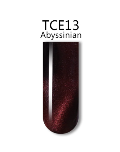 IGEL 3D CAT EYE GEL POLISH - #TCE13 ABYSSINIAN .5 OZ