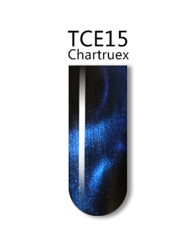 IGEL 3D CAT EYE GEL POLISH - #TCE15 CHARTRUEX .5 OZ