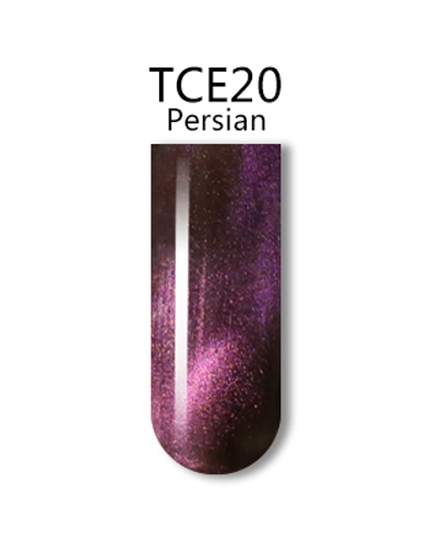 IGEL 3D CAT EYE GEL POLISH - #TCE20 PERSIAN .5 OZ