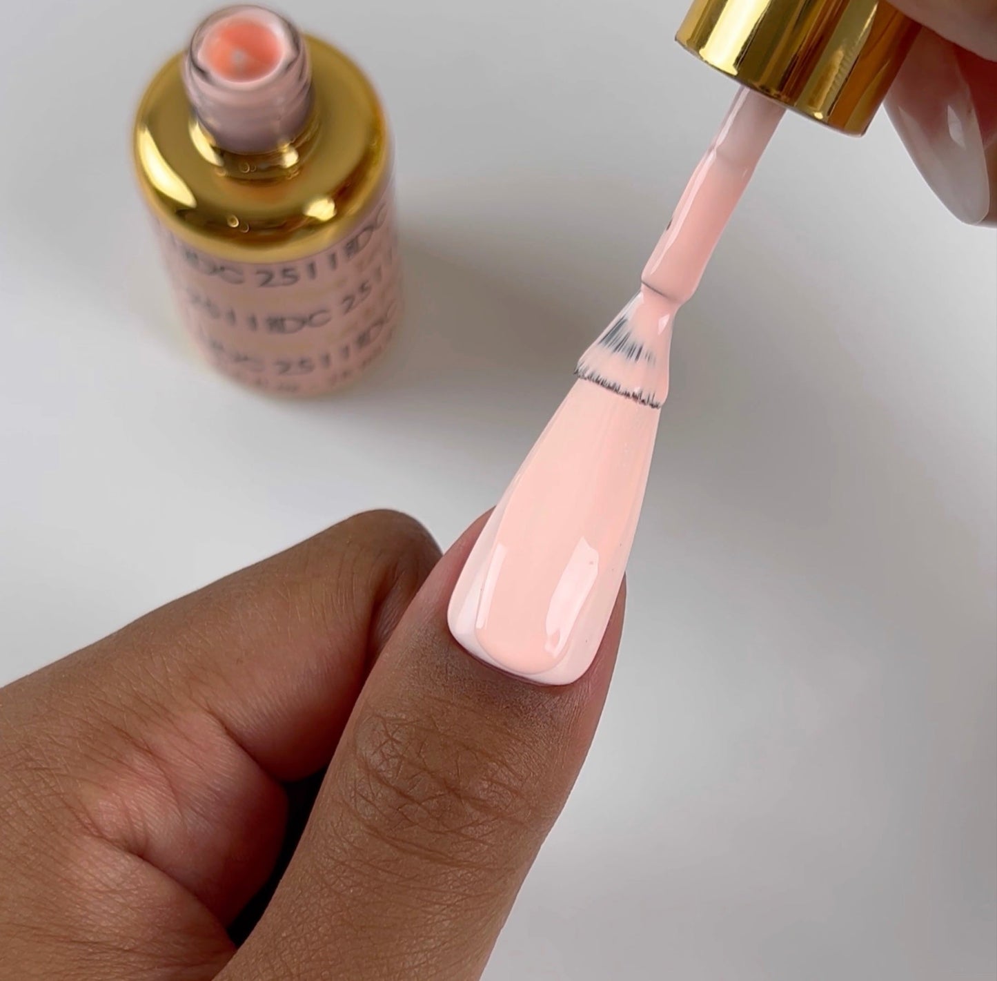 Free Spirit Collection - 36 Set