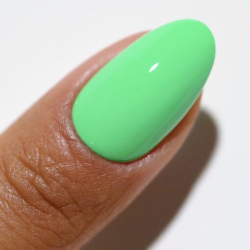 DC DUO 2537 Palm Tree