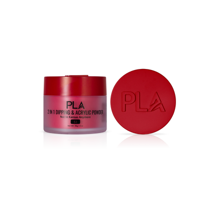 2-in-1 Dip & Acrylic Powder Not In Kansas Anymore - 53