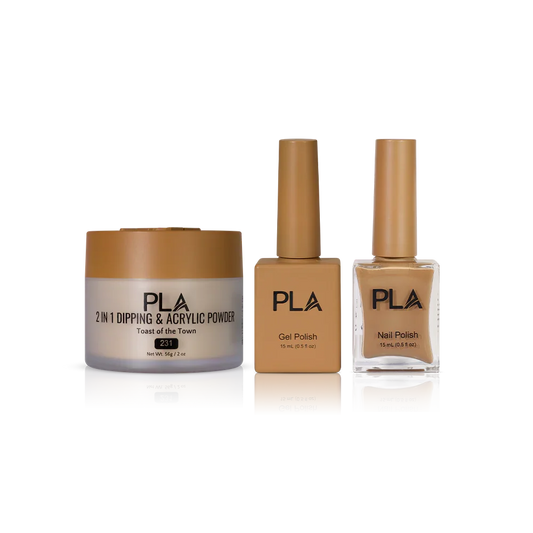 4-in-1 Toast of the Town - 231