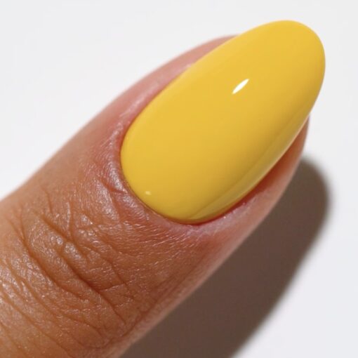 DC DUO 2516 Sun Rebels