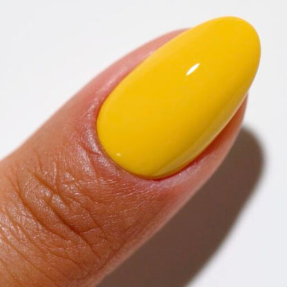 DC DUO 2516 Sun Rebels