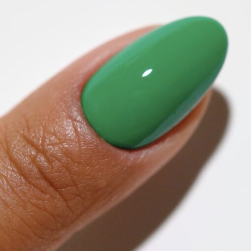 DC DUO 2525 Zen Oasis